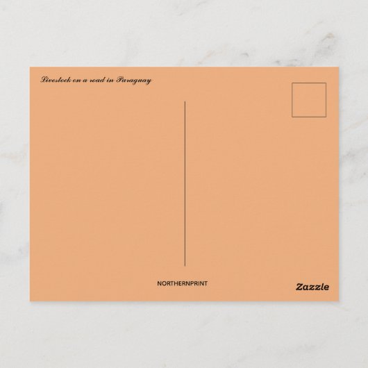 Livestock on a Road in Paraguay Briefkaart (Achterkant)