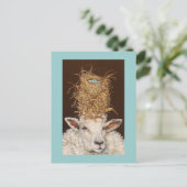 Livin' High op het briefkaart van de schapen (Staand voorkant)