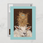 Livin' High op het briefkaart van de schapen (Voorkant / Achterkant)