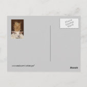 Livin' High op het briefkaart van de schapen (Achterkant)