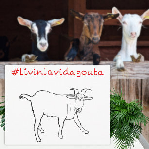 Livin La Vida Goata Funny Quirky Cute Goat Drawing Briefkaart