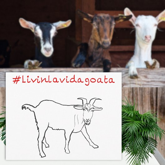 Livin La Vida Goata Funny Quirky Cute Goat Drawing Briefkaart