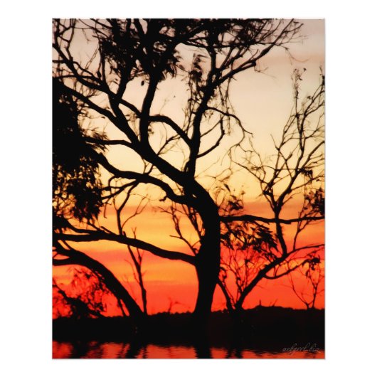 Living Art Sunset Silhouette Foto Foto Afdruk (Voorkant)