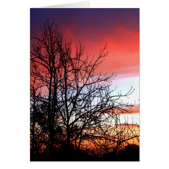 Living Art Tree Silhouette Red Skies Kaart (Voorkant)