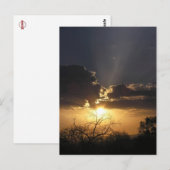 Living Art Uitzicht Briefkaart (Voorkant / Achterkant)