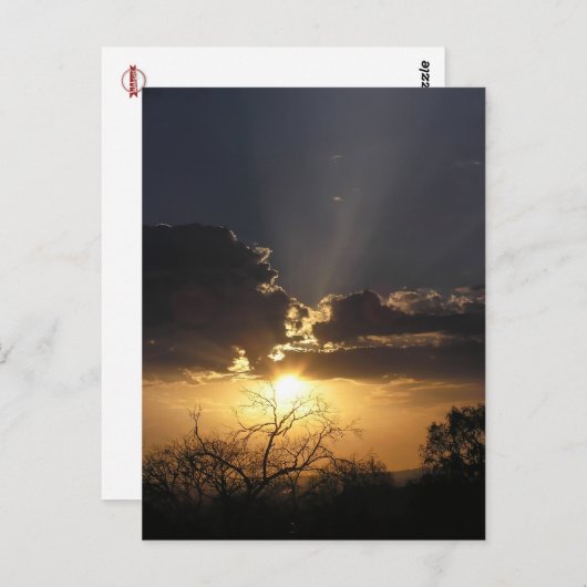 Living Art Uitzicht Briefkaart (Voorkant / Achterkant)