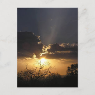 Living Art Uitzicht Briefkaart