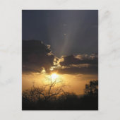 Living Art Uitzicht Briefkaart (Voorkant)