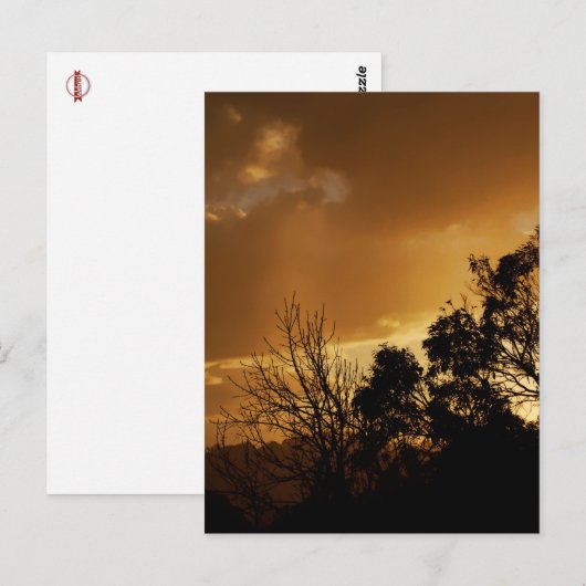 Living Art Uitzicht Briefkaart (Voorkant / Achterkant)