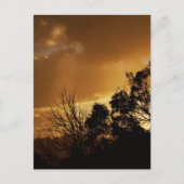 Living Art Uitzicht Briefkaart (Voorkant)