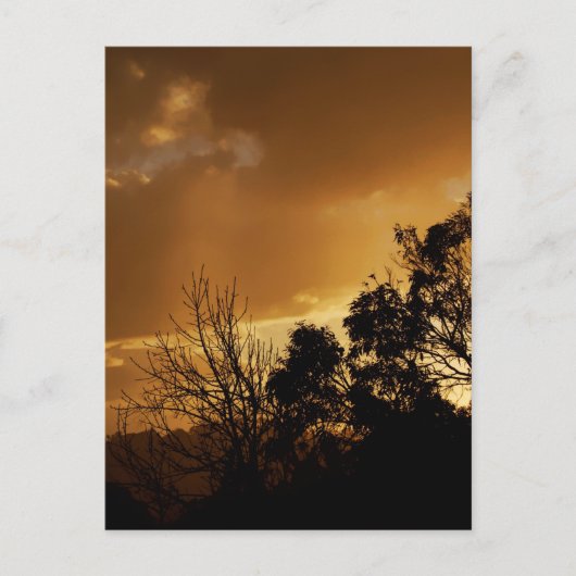 Living Art Uitzicht Briefkaart (Voorkant)