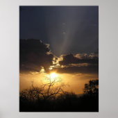 Living Art Uitzicht Poster (Voorkant)