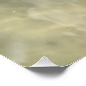 Living Fighting Conch Seashell Perfect Poster (Hoek)