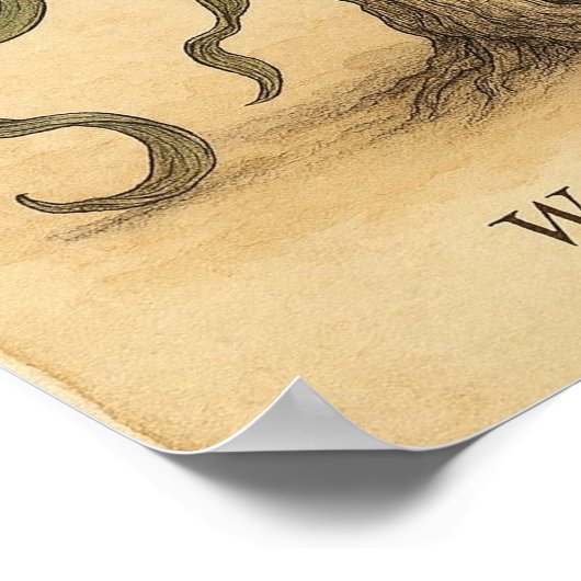 Living Fossil Beauty – Desert Botanical Poster Art (Hoek)