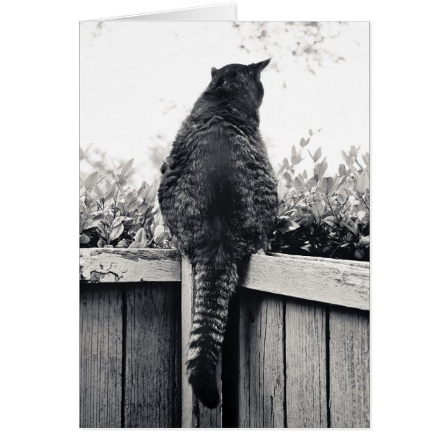 Living Gargoyle (Voorkant)