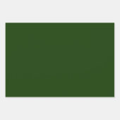 Living Green Eco Friendly Large Gift Bag Inpakpapier Vel (Voorkant 3)