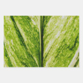 Living Green Eco Friendly Large Gift Bag Inpakpapier Vel (Voorkant)