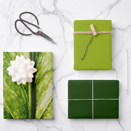 Living Green Eco Friendly Large Gift Bag Inpakpapier Vel (Voorkant)