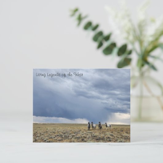 Living Legend of the West - Briefkaart (Staand voorkant)
