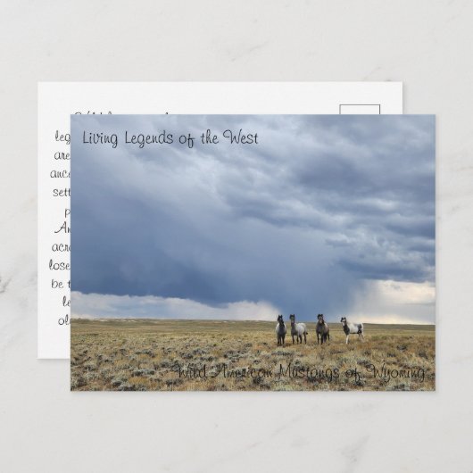 Living Legend of the West - Briefkaart (Voorkant / Achterkant)