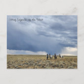 Living Legend of the West - Briefkaart (Voorkant)