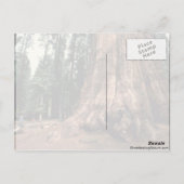 Living Mountain Briefkaart (Achterkant)