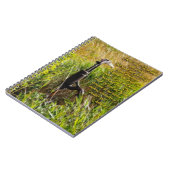 Living Water John 4 Inspirerend Notitieboek (Linkerzijde)