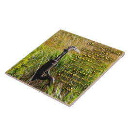 Living Water John 4 Inspirerend Tegeltje