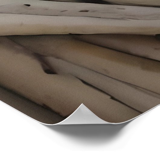 Living Woods Poster (Hoek)