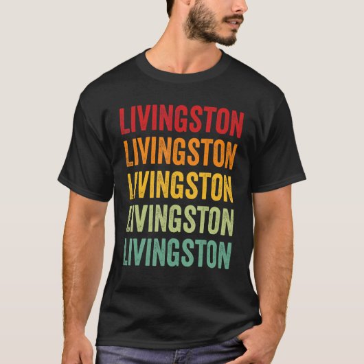 Livingston County New York Rainbow Tekst Ontwerp T-shirt (Voorkant)
