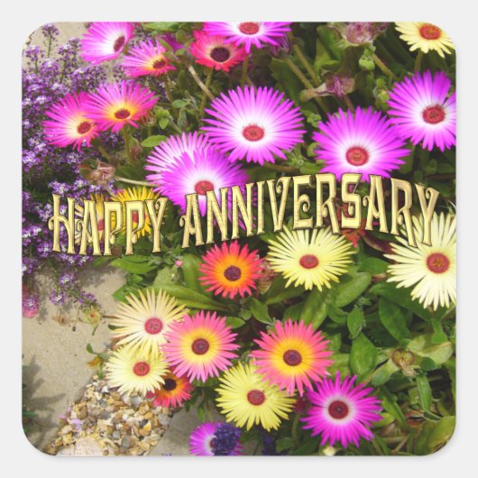 LIVINGSTONE DAISY VIERKANTE STICKER (Voorkant)