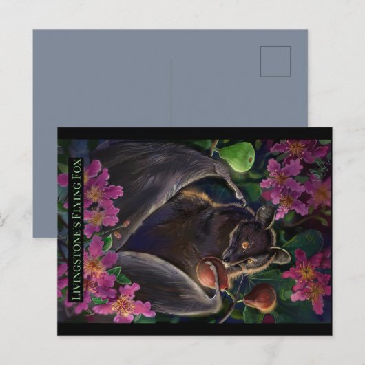 Livingstone Flying Fox Briefkaart (Voorkant / Achterkant)