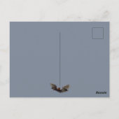 Livingstone Flying Fox Briefkaart (Achterkant)