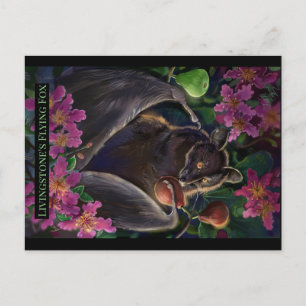 Livingstone Flying Fox Briefkaart