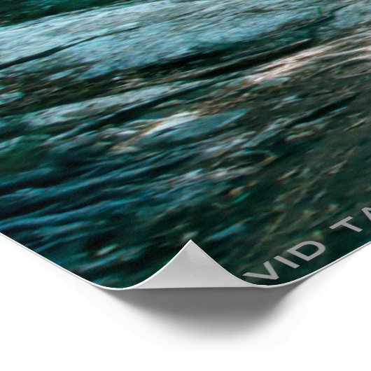 LivingTree2Merged2FallLineInvadorIsland2cc, dav... Poster (Hoek)