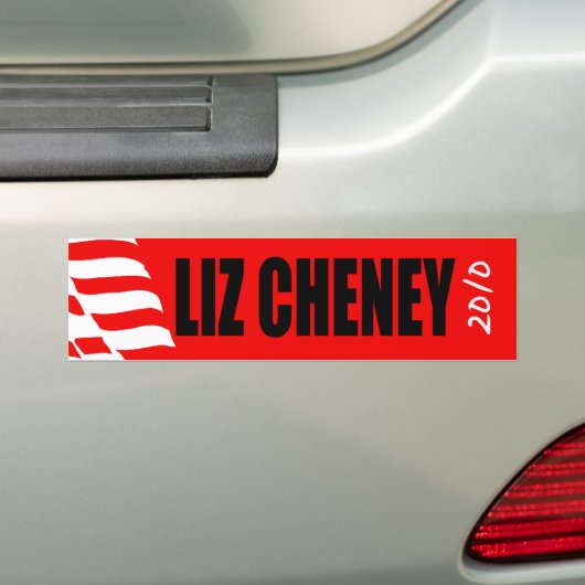 LIZ CHENEY BUMPERSTICKER (Op auto)