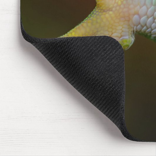Lizard Arm Muismat (Hoek)
