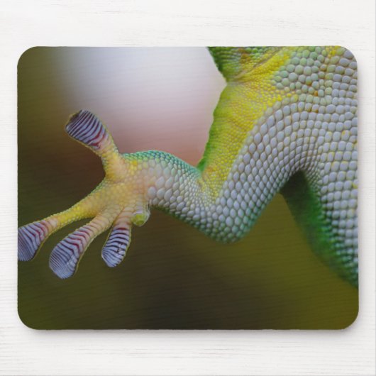 Lizard Arm Muismat (Voorkant)