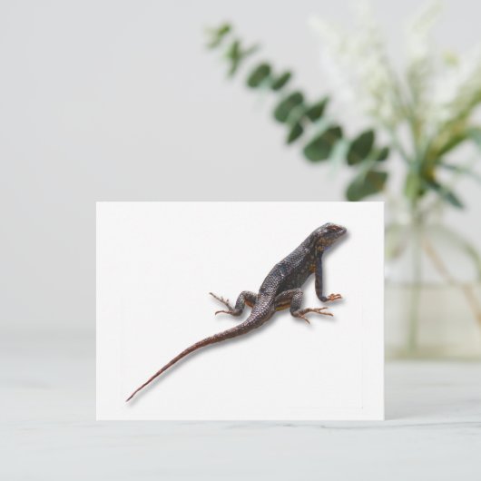 LIZARD BRIEFKAART (Staand voorkant)
