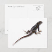 LIZARD BRIEFKAART (Voorkant / Achterkant)