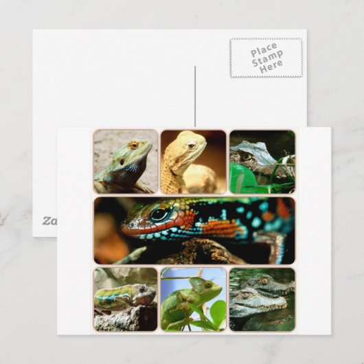 Lizard Collage Briefkaart (Voorkant / Achterkant)