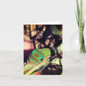 lizard congratulations notecard kaart (Voorkant)