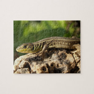 Lizard Jigzaag Puzzle Legpuzzel