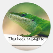 Lizard Lover Anole Book Sticker (Voorkant)