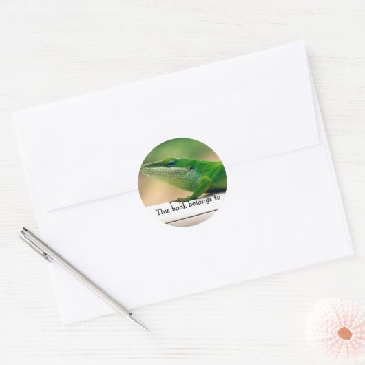 Lizard Lover Anole Book Sticker (Envelop)