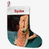 Lizard Lover Pet Foto en Naam Gepersonaliseerd Kleine Kerstsok (Voorkant)