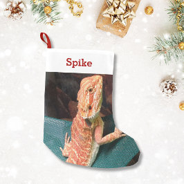 Lizard Lover Pet Foto en Naam Gepersonaliseerd Kleine Kerstsok