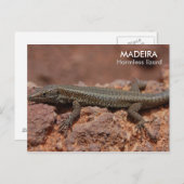 Lizard, Madeira Briefkaart (Voorkant / Achterkant)