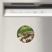 Lizard Magnet (Insitu (Vaatwasser))