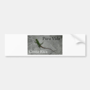 Lizard on Wall Costa Rica Pura Vida Bumpersticker